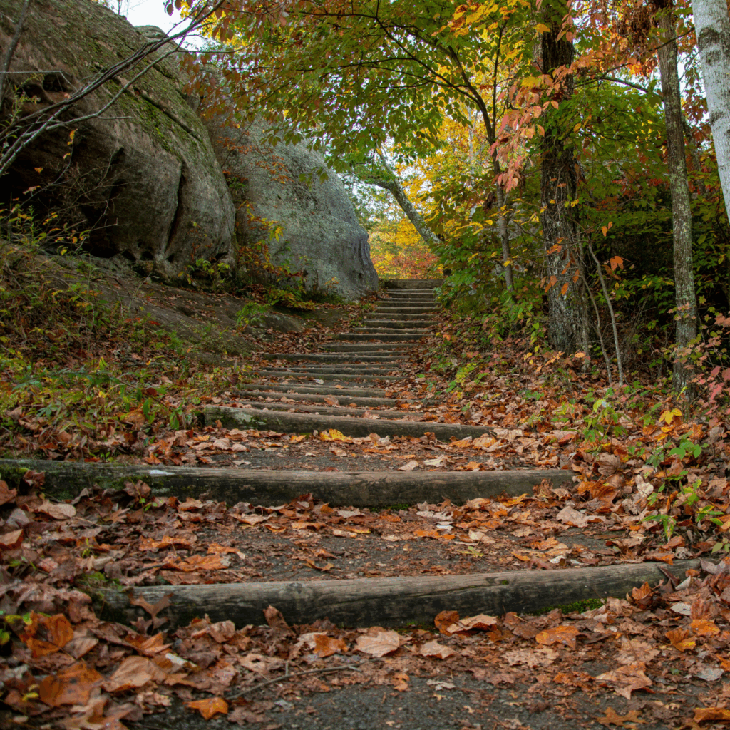 Business system transformation blog - square