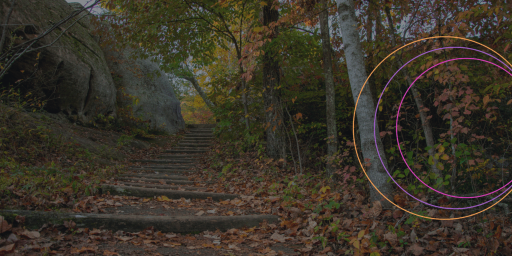 Business system transformation - Simon Wiggs